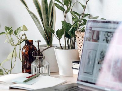 ¿Quieres saber cómo diseñar un jardín espectacular? Tenemos los cursos perfectos para ti